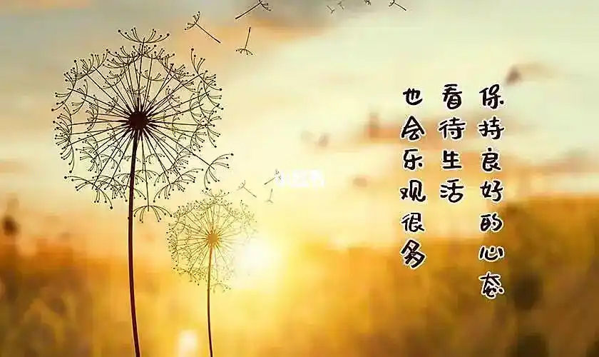 生活无论如何打压,自己也要活的开心.