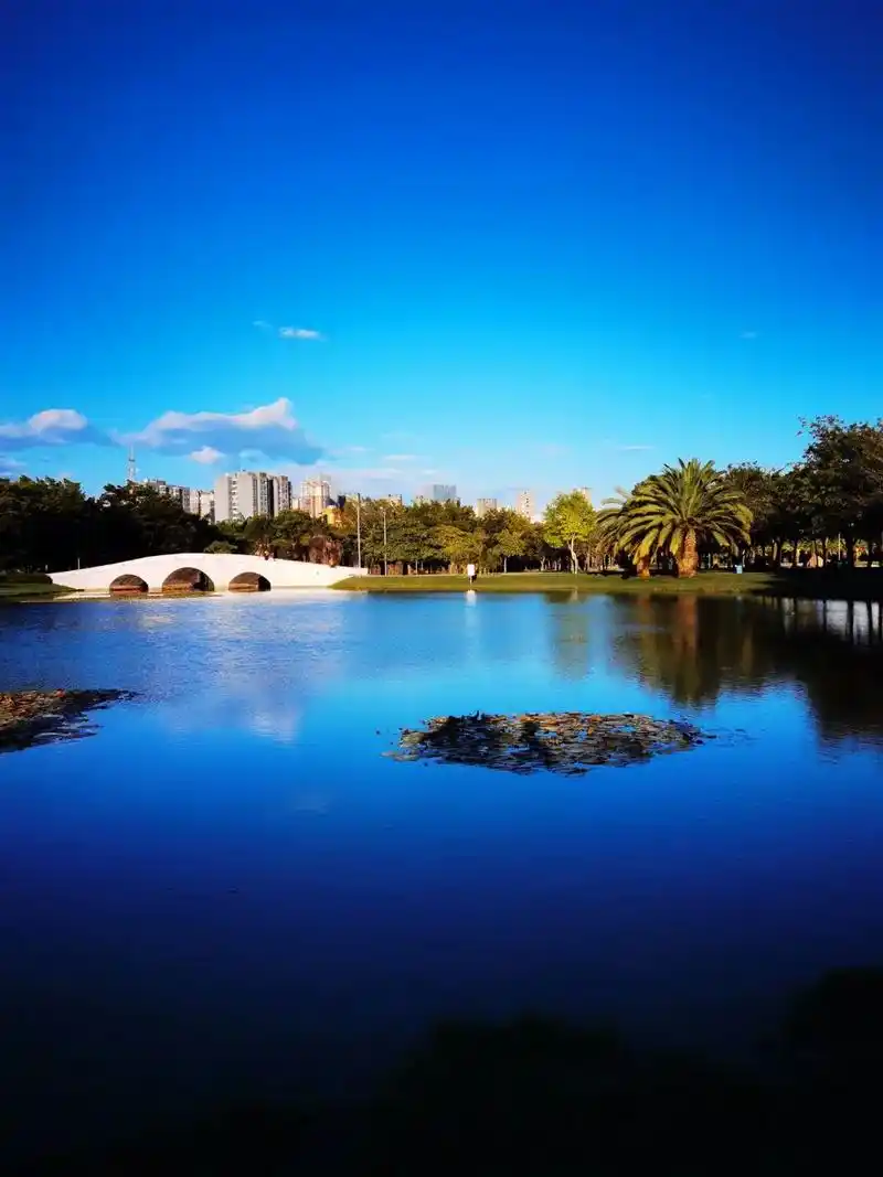 治愈系风景 #享受安静 #一起享受大自然的美 # 真正在努 - 抖音