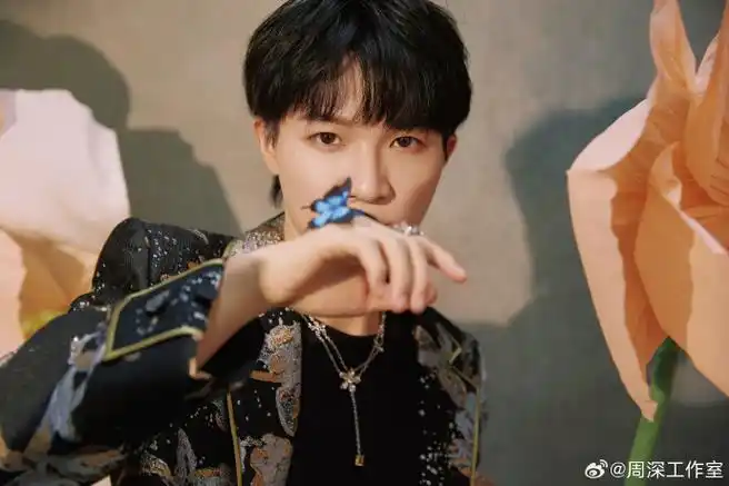 周深声生不息##声生不息##声生不息家年华收官