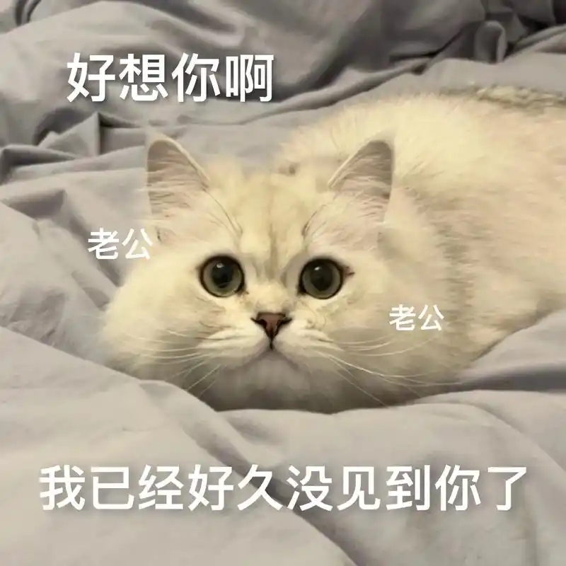 老公大人这是我刷