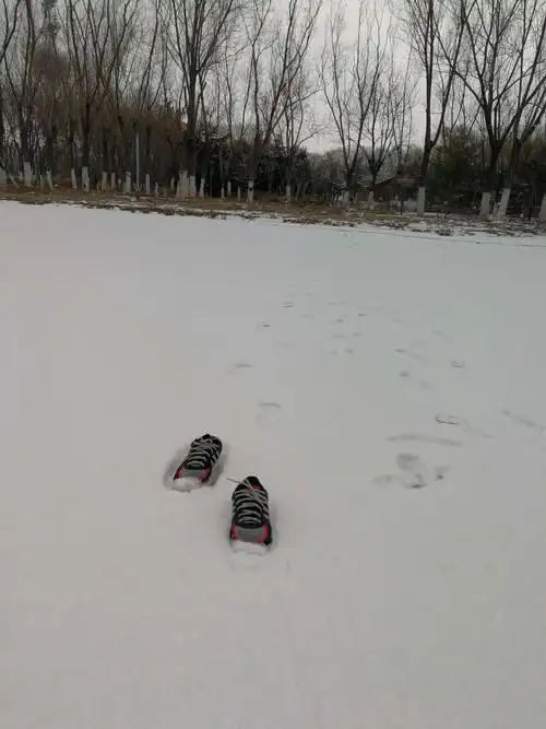 其它 2019/第一场雪赤脚来把鞋子放/弄湿了袜子无放