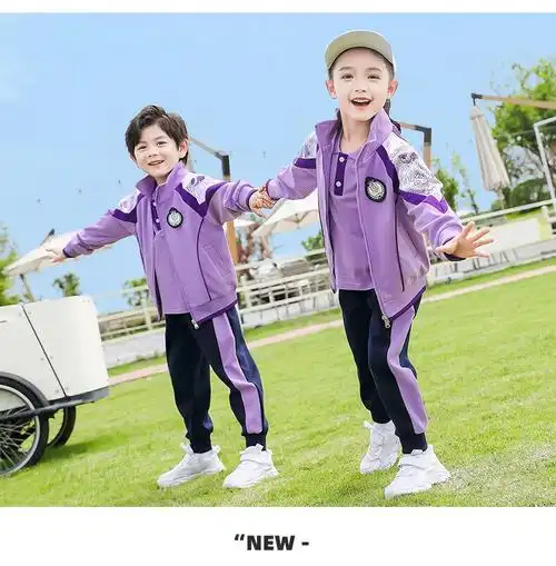校服秋装儿童幼儿园园服春秋冬季三四件套夏季班服运动套装 紫色短t