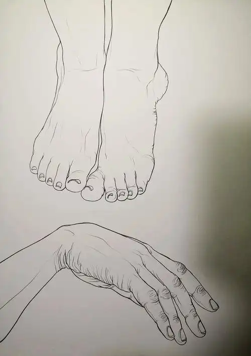 手脚练习|纯艺术|绘画|狐森真真 - 临摹作品 - 站酷 (zcool)