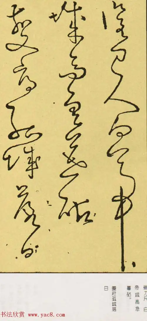 唐怀素草书欣赏《秋兴八首》两种