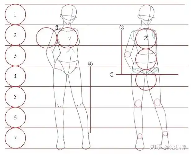 板绘教程漫画人物怎么画女生学人体比例画女性漫画人物