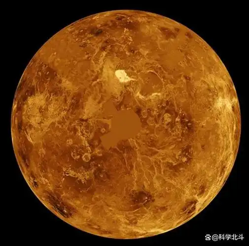 2008年nasa拍摄的火星照片其地表竟长出了树难道火星存在生命