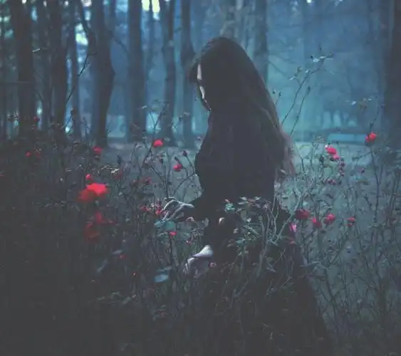 伤感女生玫瑰花花田低气压高清图片