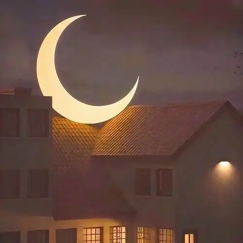 四十岁女人淡雅气质头像图片 高清40岁女人有气质的微信头像