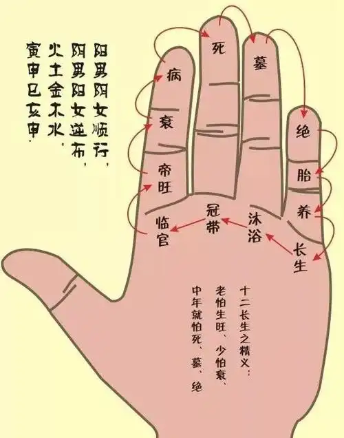 易学八卦掌诀图