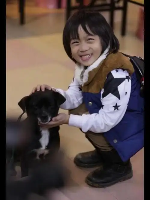 林志颖儿子kimi,长大后看起来:撞脸出道前的蔡徐坤