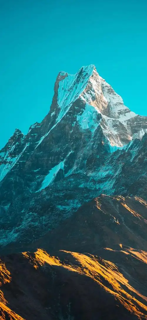 1080_2340竖版 竖屏