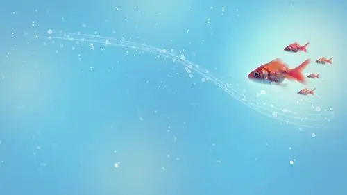 游动的鱼金1280x1024分辨率下载,游动的鱼金,高清图片,壁纸,动物-桌面