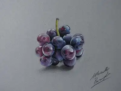 写实作品,用彩铅画