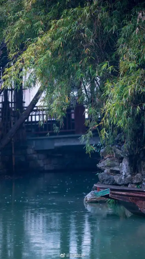 今天#乌镇#下#雨#了.或许,烟雨江南才是你眼中的真江南.
