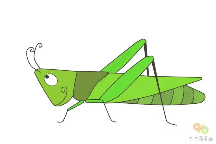 蚂蚱简笔画步骤图