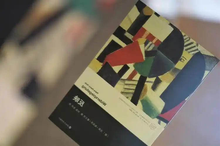 请你照一下镜子 | 《反映》导言试读