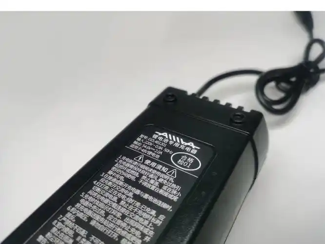 原厂爱玛电动车专用锂充电器原装48v12a小乐购春生智跑带风扇散热