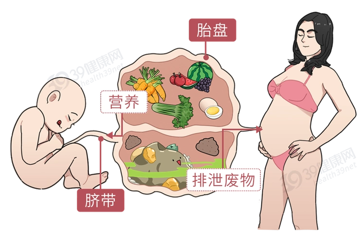 食用人类胎盘,养生还是作死?