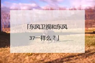 7,东风卫视一共两个台,左上角是东风的字:是台湾东风卫视卜禅逗亚洲台