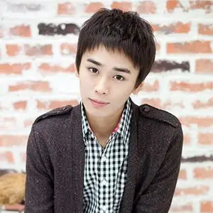 包邮韩版男生假发男士假发学生假发男短发帅气蓬松逼真斜刘海发套