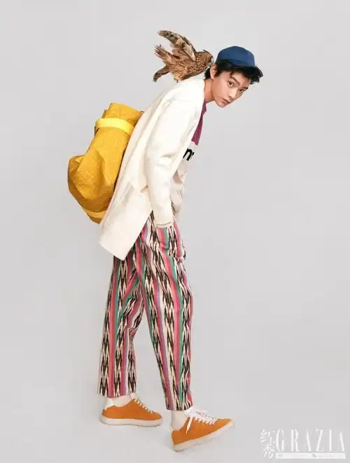 丁禹兮醒着做梦