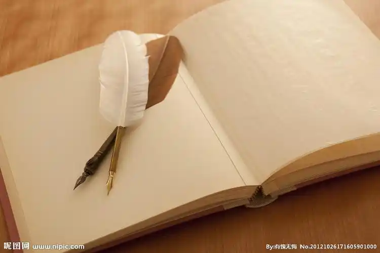 鸡毛笔 羽毛钢笔