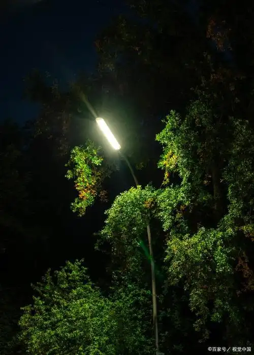 夜晚,天空越来越暗,整个世界仿佛都被黑暗笼罩起来,只有街旁的路灯下
