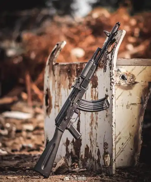 今日枪械美图欣赏