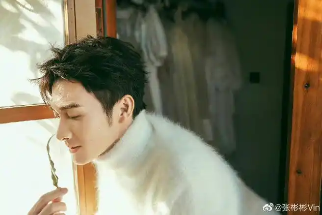 张彬彬11月行程图##张彬彬十一月行程图