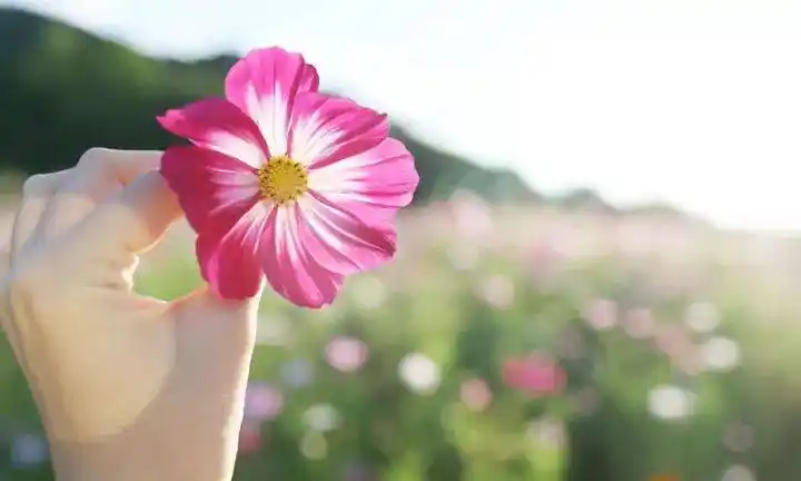 非常走心的心情唯美说说短句句句金玉良言