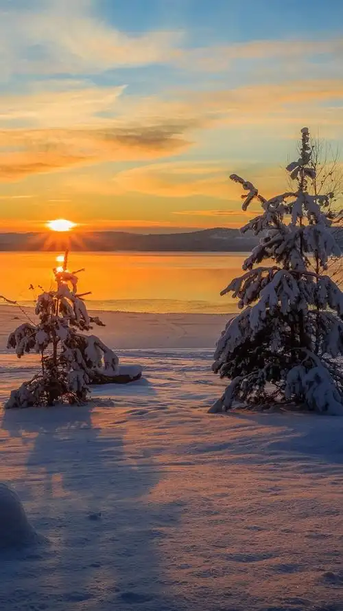 壁纸 阿尔维卡,瑞典,冬天,雪,树木,日落 3840x2160 uhd 4k 高清壁纸
