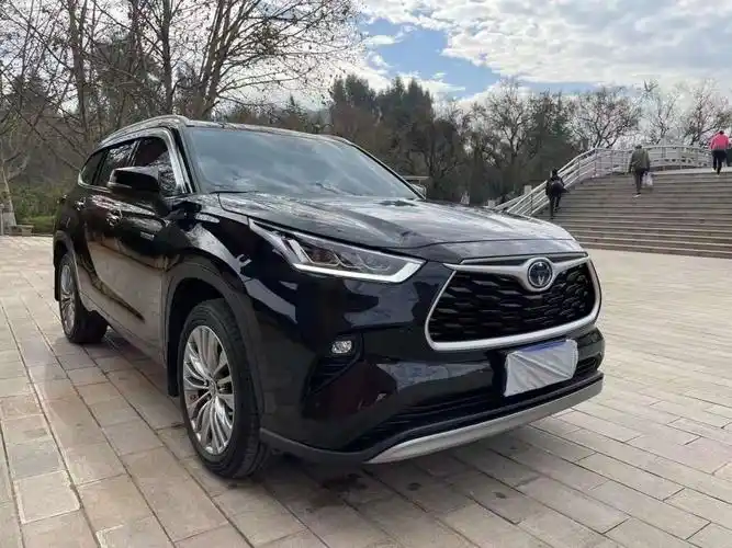 丰田 汉兰达  2021款 2.0t 四驱精英版 7座图片