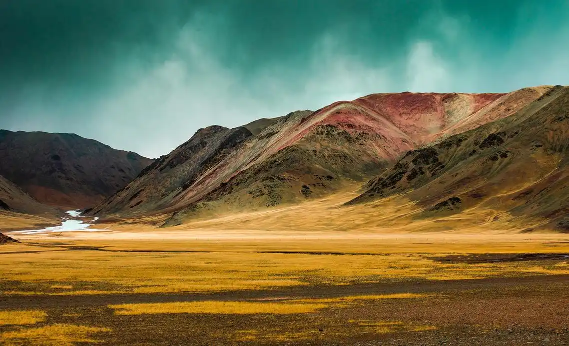 羌塘无人区羚羊野驴犹如仙间跌落人间的精灵