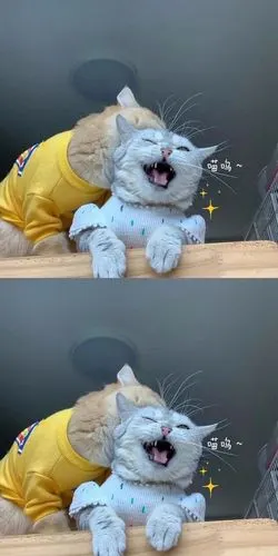 超火壁纸精选 抖音壁纸 部分粉丝求图 | 2020-04-20