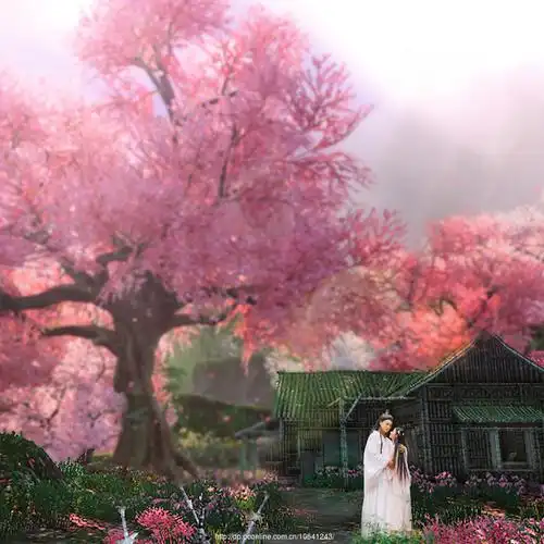 《三生三世十里桃花》