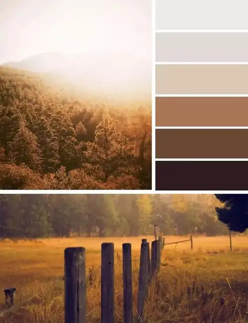 color丨家居秋季色(1)丨 大地棕_色调