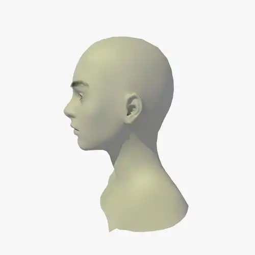 装备24岁的欧洲女性头部基础网格3d模型