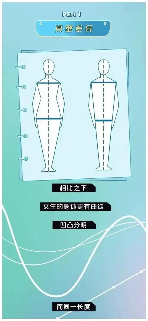 同样是170cm的身高,为啥男女生差距那么大呢?一组漫画分析一下