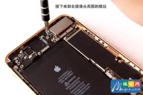 77颗螺丝的艺术 133图拆解iphone8 plus