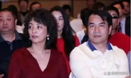 和老外结婚又离婚的明星:鲁豫尝尽婚姻痛苦无儿女,宁静不再嫁