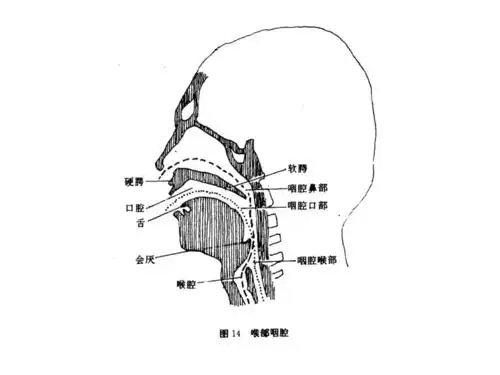 声乐第一课ppt14页