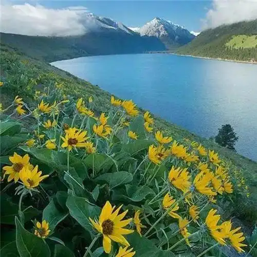 超火最好看的风景头像图片