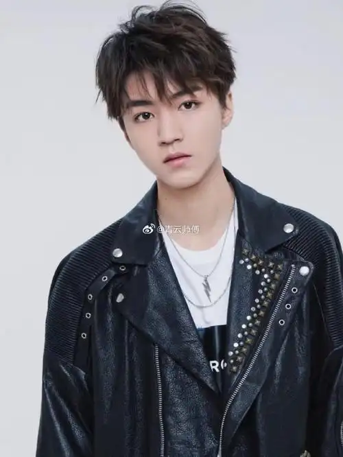 王俊凯  八字  己卯 癸酉 丙子 甲午(时柱为推测)