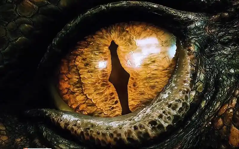 盘点电影中的巨型眼睛_哔哩哔哩_bilibili