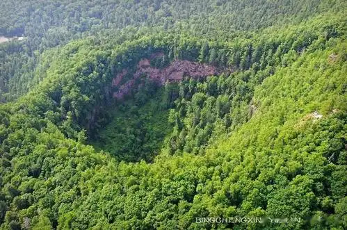 走进罕见的火山口地下森林,来一次夏日避暑惬意行