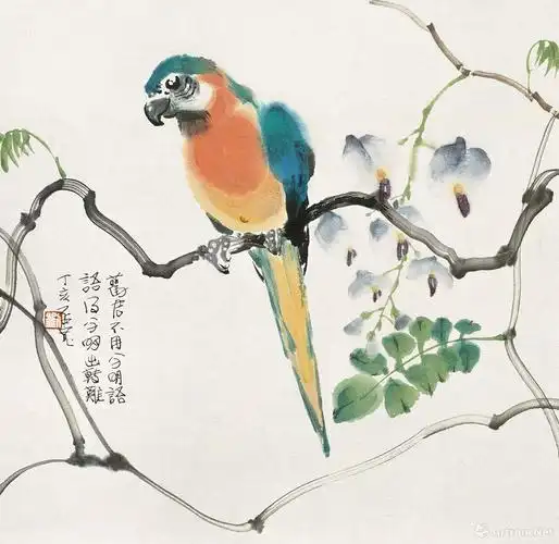 鹦鹉 br>^_^the parrot