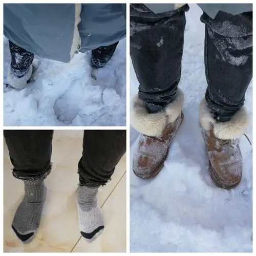 抗击疫情—园林人在行动