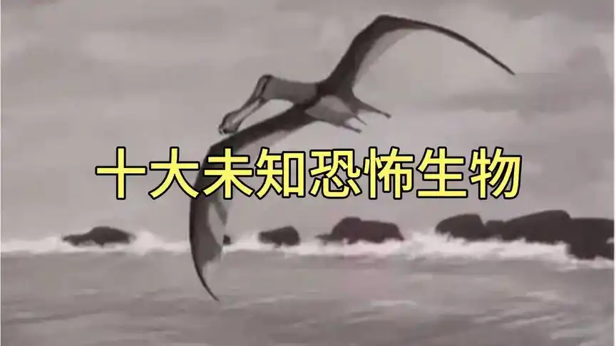十大未知恐怖生物 每一种都能把你吓尿