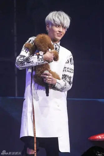 组图:吴亦凡白发帅气 生日会献劲歌热舞_高清图集_新浪网