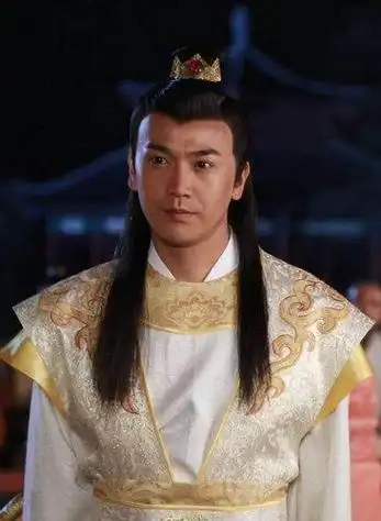 赵文卓浓眉大眼一身正气(十二位男神剑眉星目)9